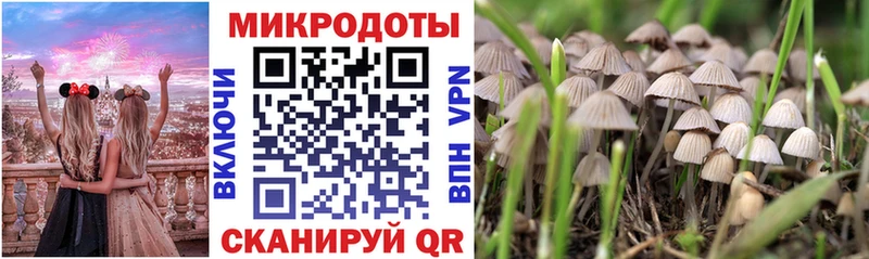 Галлюциногенные грибы ЛСД Тавда