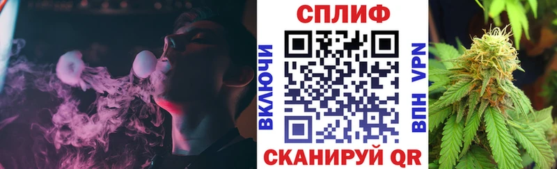 Каннабис план  omg маркетплейс  Тавда 
